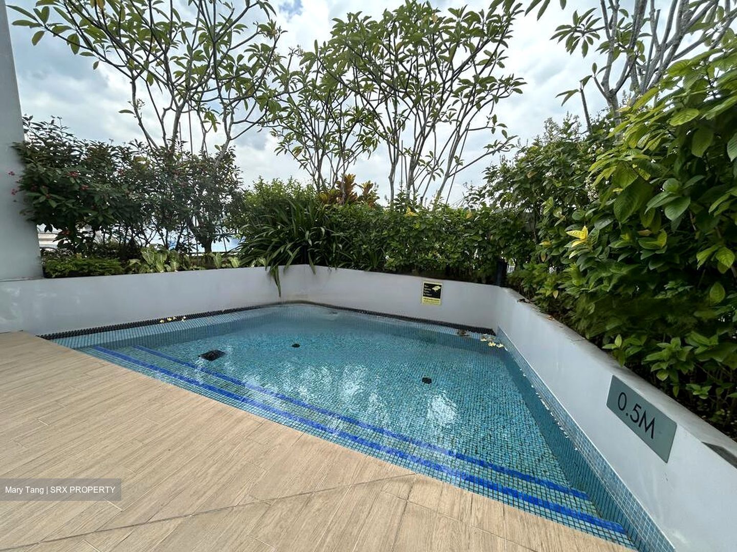 Harbour View Gardens (D5), Apartment #503186901